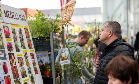 Prasideda sodinukų mugių sezonas – kaip išsirinkti tinkamus augalus pataria biomedicinos mokslų daktaras