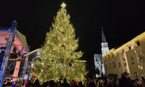 Dėl stipraus vėjo griuvo pagrindinės miestų eglės: žaliaskarės išverstos Gargžduose, Šilalėje, Alytuje