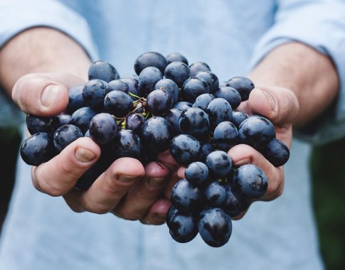 Japonijoje vynuogių kekė parduota už 10 tūkstančių eurų