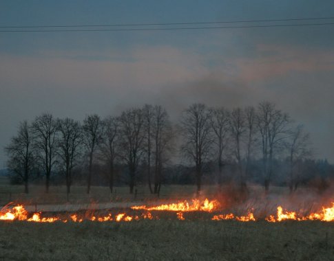 PAGD vadovas: gaisrų atvirose teritorijose mažėja, tačiau daugėja žuvusiųjų namuose