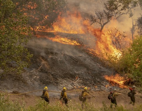 Nuo gaisrų dūstanti Kalifornija pasiekė antirekordą: išdegė didelė teritorija