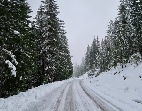 Lietuvos vairuotojus žiema užklumpa nepasiruošusius