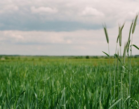 Birželį ūkininkai kviečiami teikti paraiškas dėl paramos