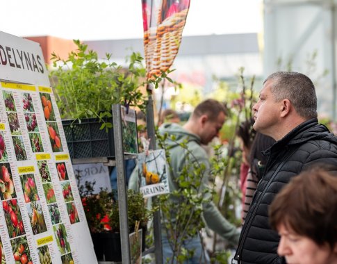 Prasideda sodinukų mugių sezonas – kaip išsirinkti tinkamus augalus pataria biomedicinos mokslų daktaras