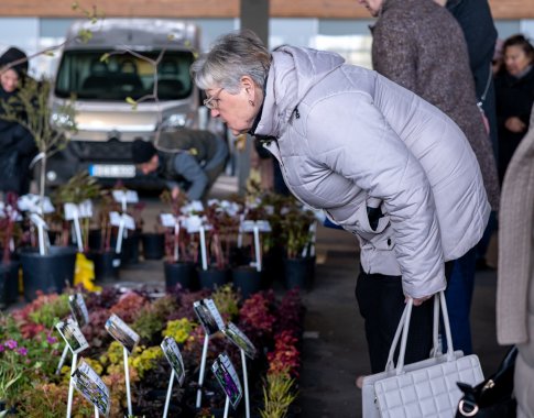 Aktualu sodininkams: prie Klaipėdos ir Vilniaus „Akropolių“ vyks Didžioji sodinukų mugė