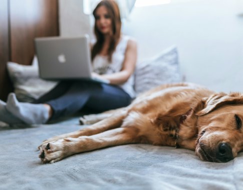 Svarbu dirbantiems iš namų: 5 patarimai, padėsiantys sumažinti elektros sąskaitas