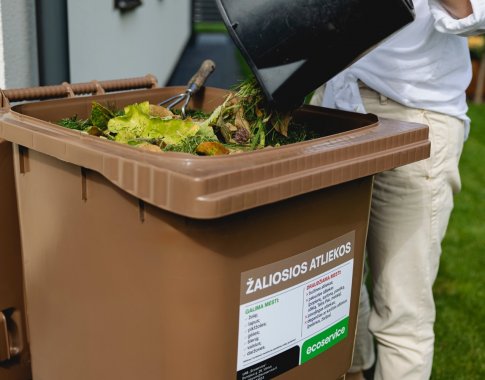 Pasirūpinti nukritusiais lapais sode nepakaks: kokių dar darbų nereikėtų atidėti