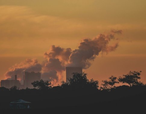 Tyrimai pasaulio ateičiai negailestingi: pjauname šaką ant kurios sėdime