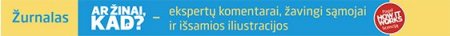 Iš Dakaro ralio į Lietuvą grįžęs lenktynininkas B. Vanagas: nusivilti yra neprofesionalu