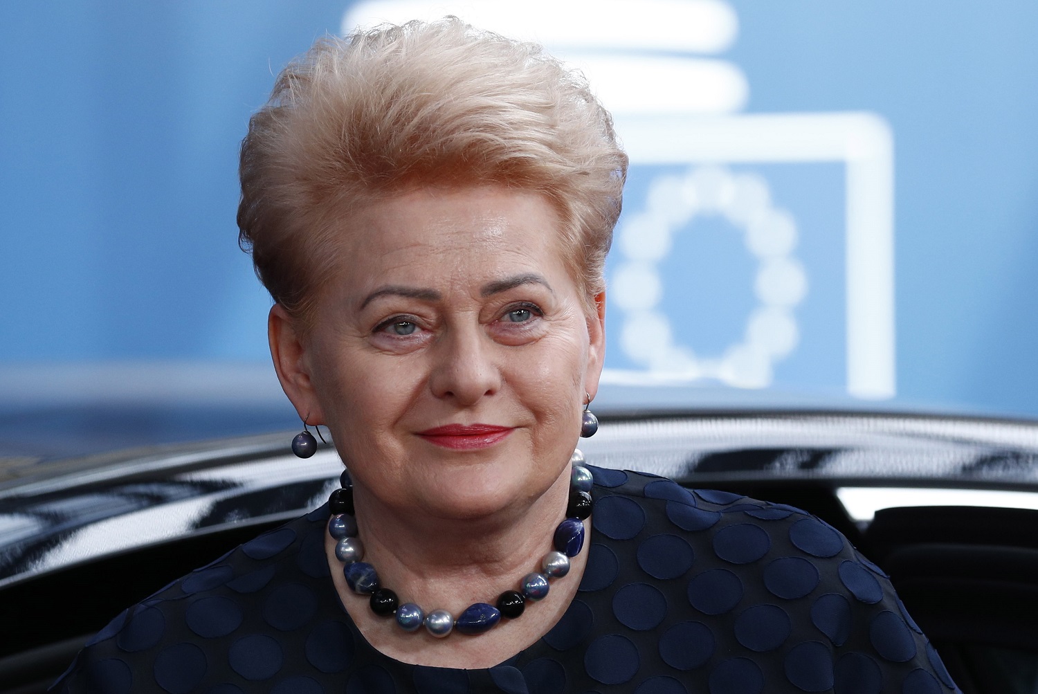 Prezidentė D. Grybauskaitė: Valstybės dieną didžiuojamės Lietuva