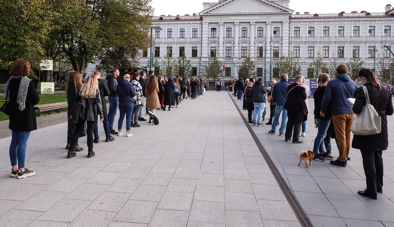 Iš anksto Seimo rinkimuose balsavo 7, 39 proc. rinkėjų