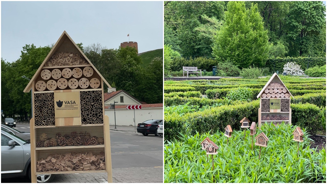 Vilniaus parkuose „išdygo“ nauji vabzdžių viešbučiai