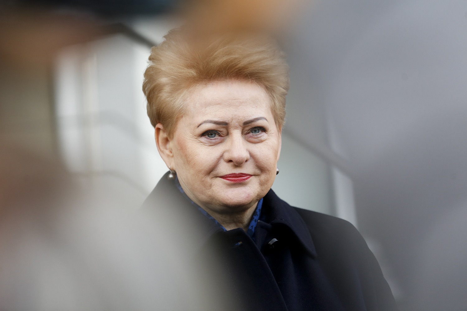 D. Grybauskaitė įvertino batalijas Seime: jų pareiga yra rasti sprendimus ir dirbti savo darbą