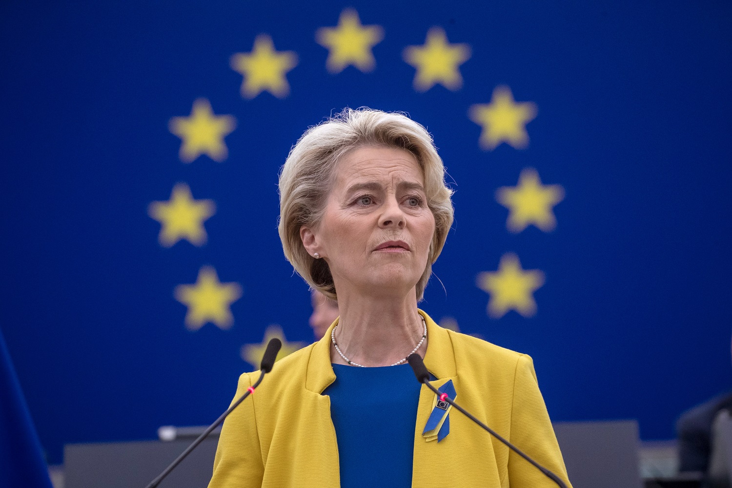 U. von der Leyen: Ukraina žengė didelius žingsnius į priekį kelyje narystės ES link