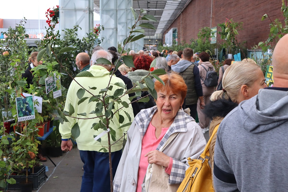 Klaipėdoje ir Vilniuje rengiamos Didžiosios sodinukų mugės naujiena – grybų auginimo ruošiniai
