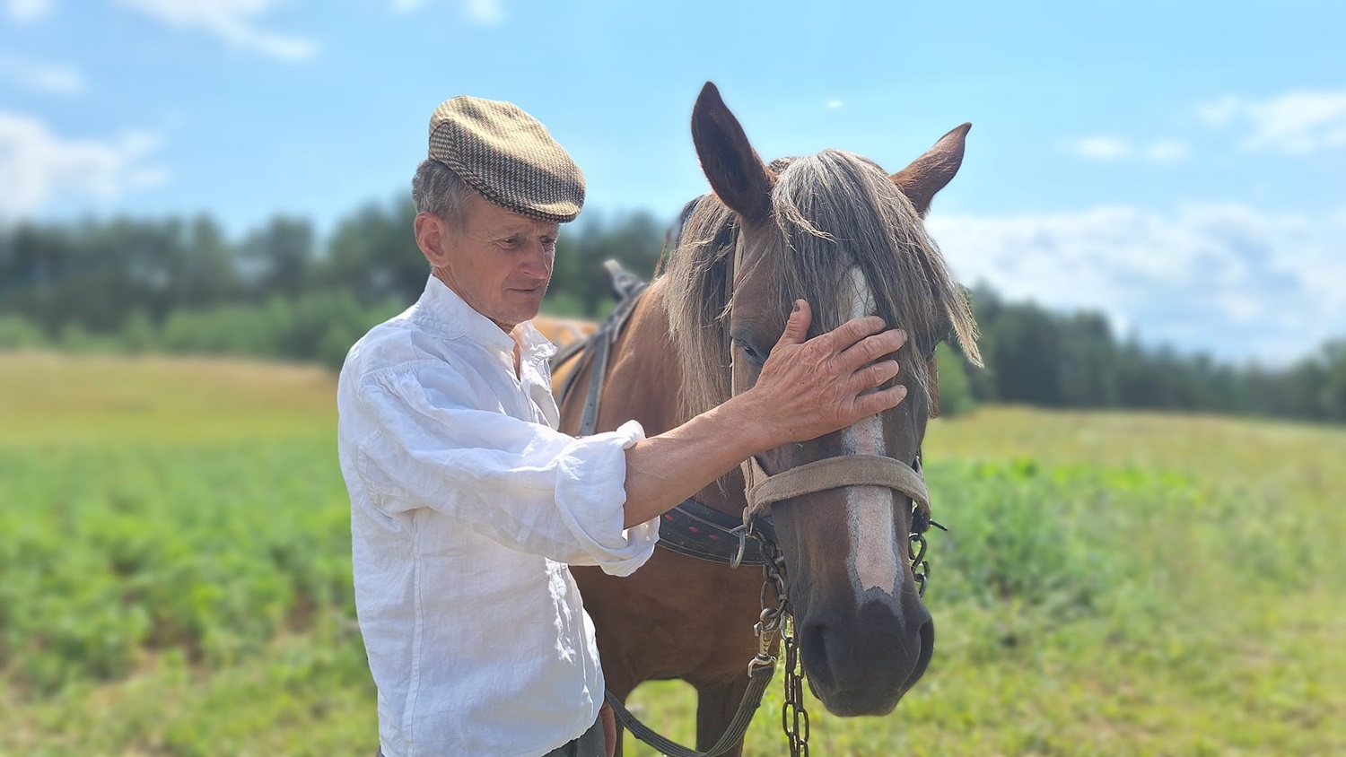 Tradicinis arimas arkliais ir šios tradicijos saugotojai