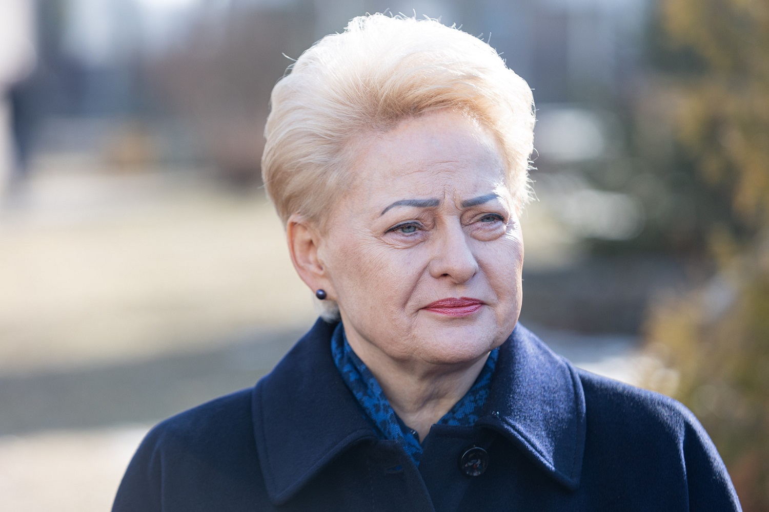 D. Grybauskaitė ragina socialdemokratus atsikvošėti dėl „Nemuno aušros“: kremlinio dvoko koalicija