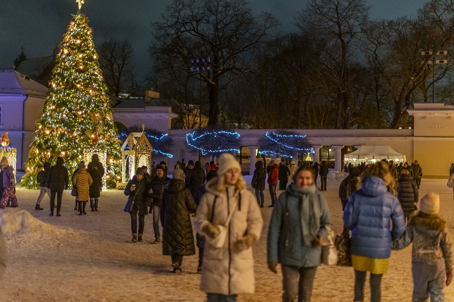 Kalėdų eglutė šiemet bus brangiausia Vilniuje, pigiausia – Klaipėdoje